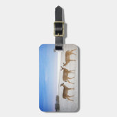 Niedliche Kleintiere | Hirsche am Strand Gepäckanhänger (Vorderseite vertikal)