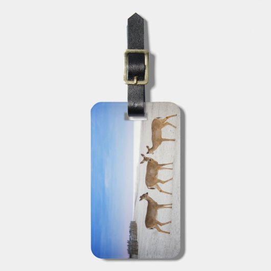 Niedliche Kleintiere | Hirsche am Strand Gepäckanhänger (Vorderseite vertikal)