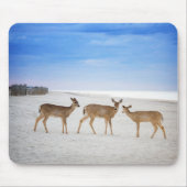 Niedliche Kleintiere | Hirsche am Strand Mousepad (Vorne)