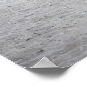 Niedliche Kleintiere | Hirsche am Strand Poster (Ecke)