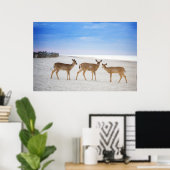 Niedliche Kleintiere | Hirsche am Strand Poster (Heimbüro)