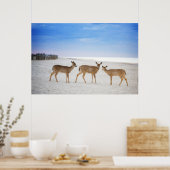 Niedliche Kleintiere | Hirsche am Strand Poster (Küche)