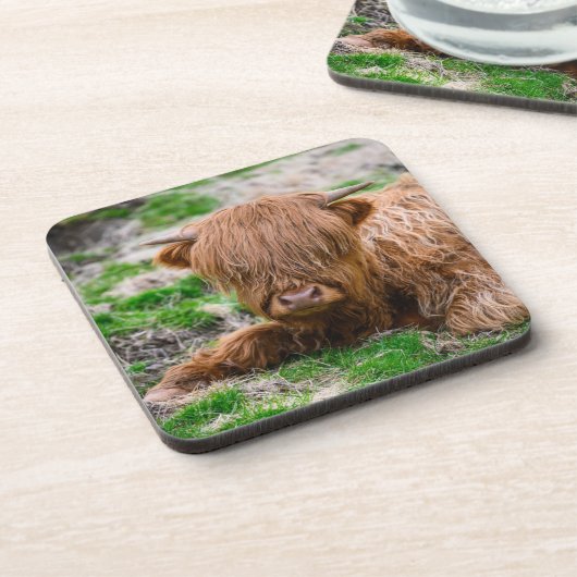 Niedliche Kleintiere | Hochlandkuhkalb Getränkeuntersetzer (Linke Seite)