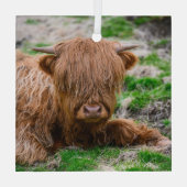 Niedliche Kleintiere | Hochlandkuhkalb Ornament Aus Glas (Rückseite)