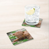 Niedliche Kleintiere | Hochlandkuhkalb Rechteckiger Pappuntersetzer (Vor Ort)