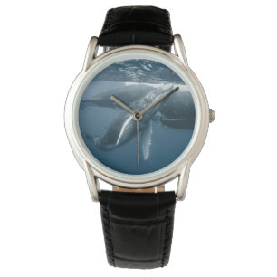 Niedliche Kleintiere   Humpback Whale Calf Armbanduhr
