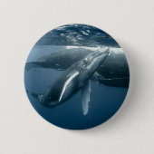 Niedliche Kleintiere | Humpback Whale Calf Button (Vorderseite)