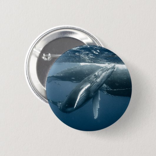 Niedliche Kleintiere | Humpback Whale Calf Button (Vorne & Hinten)