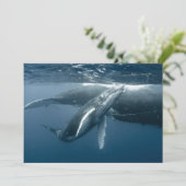 Niedliche Kleintiere | Humpback Whale Calf Dankeskarte (Stehend Vorderseite)