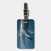 Niedliche Kleintiere | Humpback Whale Calf Gepäckanhänger (Vorderseite vertikal)