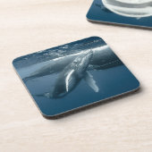 Niedliche Kleintiere | Humpback Whale Calf Getränkeuntersetzer (Linke Seite)
