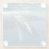 Niedliche Kleintiere | Humpback Whale Calf Glasuntersetzer (Rückseite)