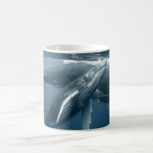 Niedliche Kleintiere   Humpback Whale Calf Kaffeetasse