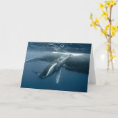 Niedliche Kleintiere | Humpback Whale Calf Karte (Gelbe Blume)
