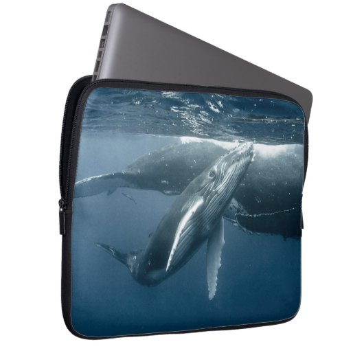 Niedliche Kleintiere | Humpback Whale Calf Laptopschutzhülle (Vorne Rechts)