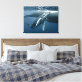 Niedliche Kleintiere | Humpback Whale Calf Leinwanddruck (Insitu (Schlafzimmer))