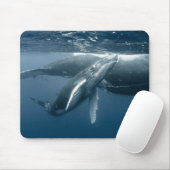 Niedliche Kleintiere | Humpback Whale Calf Mousepad (Mit Mouse)