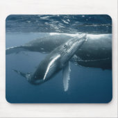 Niedliche Kleintiere | Humpback Whale Calf Mousepad (Vorne)
