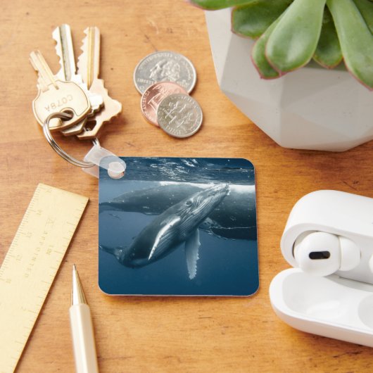 Niedliche Kleintiere | Humpback Whale Calf Schlüsselanhänger (Schreibtisch)