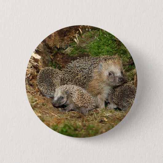 Niedliche Kleintiere | IGEL Button (Vorderseite)
