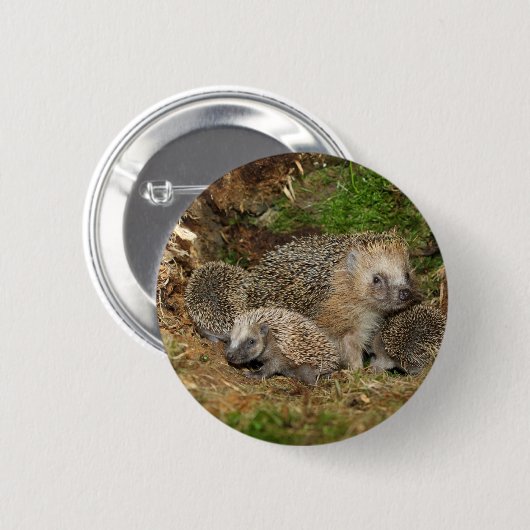 Niedliche Kleintiere | IGEL Button (Vorne & Hinten)