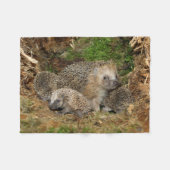 Niedliche Kleintiere | IGEL Fleecedecke (Vorderseite (Horizontal))