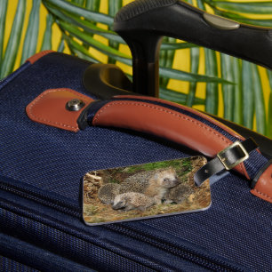 Niedliche Kleintiere IGEL Gepäckanhänger