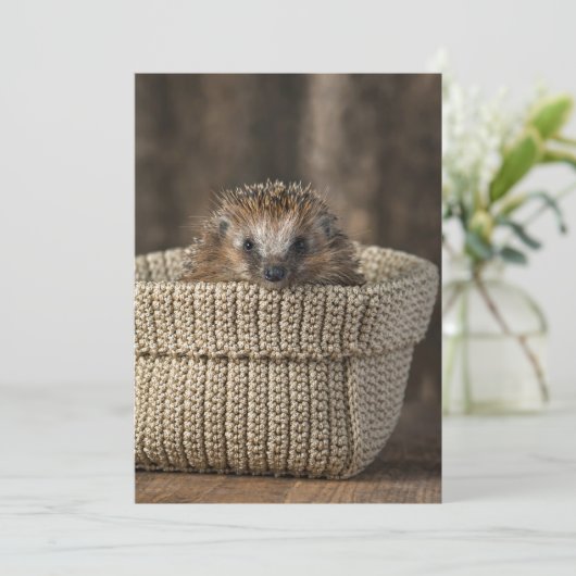 Niedliche Kleintiere | Igel in einem Korb Dankeskarte (Stehend Vorderseite)