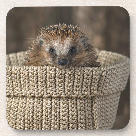 Niedliche Kleintiere | Igel in einem Korb Getränkeuntersetzer (Vorderseite)