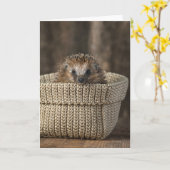 Niedliche Kleintiere | Igel in einem Korb Karte (Gelbe Blume)