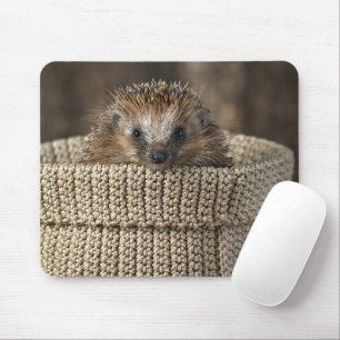 Niedliche Kleintiere   Igel in einem Korb Mousepad