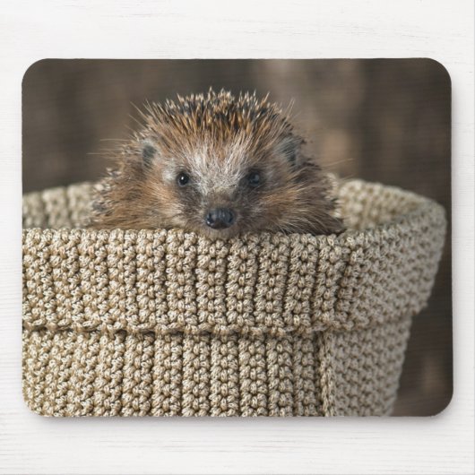 Niedliche Kleintiere | Igel in einem Korb Mousepad (Vorne)
