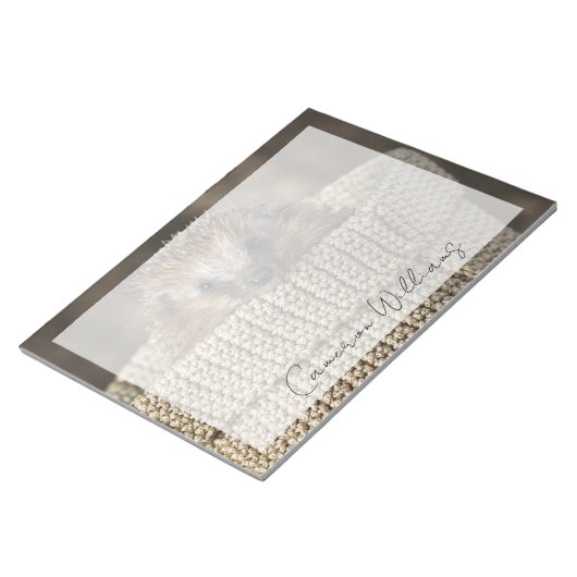 Niedliche Kleintiere | Igel in einem Korb Notizblock (angewinkelt)