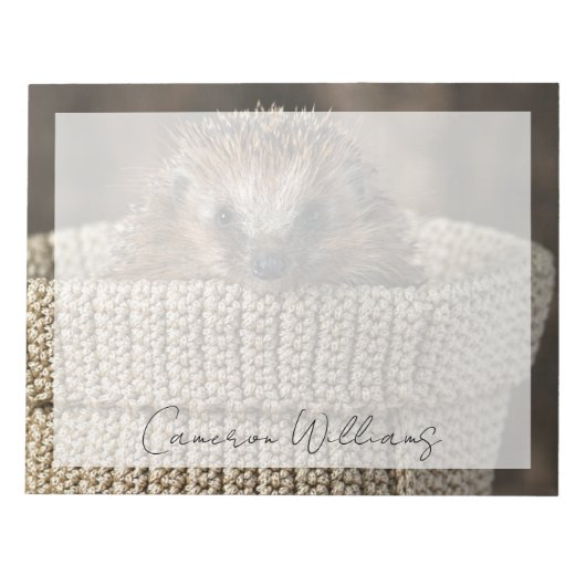 Niedliche Kleintiere | Igel in einem Korb Notizblock (Vorderseite)