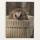 Niedliche Kleintiere | Igel in einem Korb Planer (Vorderseite)