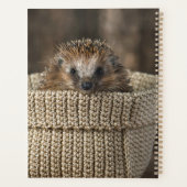 Niedliche Kleintiere | Igel in einem Korb Planer (Rückseite)