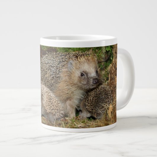 Niedliche Kleintiere | IGEL Jumbo-Tasse (Vorderseite Rechts)