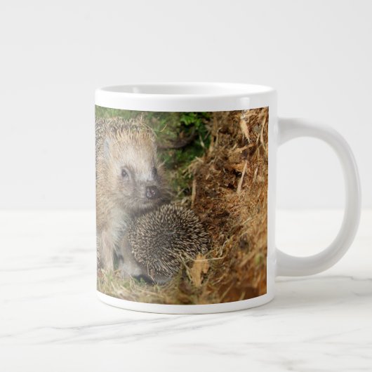 Niedliche Kleintiere | IGEL Jumbo-Tasse (Rechts)