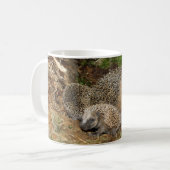 Niedliche Kleintiere | IGEL Kaffeetasse (Vorderseite Links)