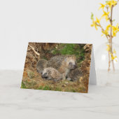 Niedliche Kleintiere | IGEL Karte (Gelbe Blume)