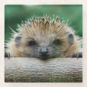 Niedliche Kleintiere | Igel Lächeln Glasuntersetzer (Vorderseite)