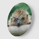 Niedliche Kleintiere | Igel Lächeln Große Wanduhr (Winkel)