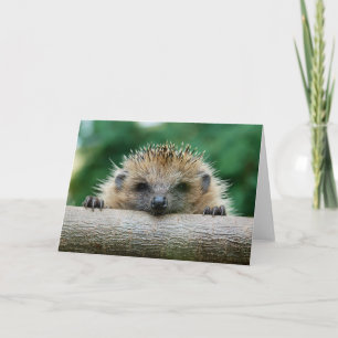 Niedliche Kleintiere Igel Lächeln Karte