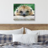 Niedliche Kleintiere | Igel Lächeln Leinwanddruck (Insitu (Schlafzimmer))