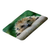 Niedliche Kleintiere | Igel Lächeln Magnet (Linke Seite)