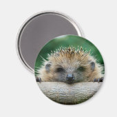 Niedliche Kleintiere | Igel Lächeln Magnet (Vorderseite/Rückseite)