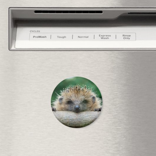 Niedliche Kleintiere | Igel Lächeln Magnet (In Situ (Geschirrspüler))