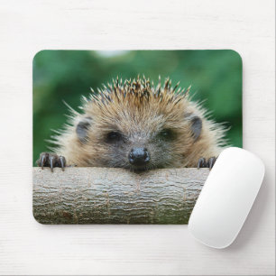 Niedliche Kleintiere Igel Lächeln Mousepad