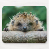 Niedliche Kleintiere | Igel Lächeln Mousepad (Vorne)