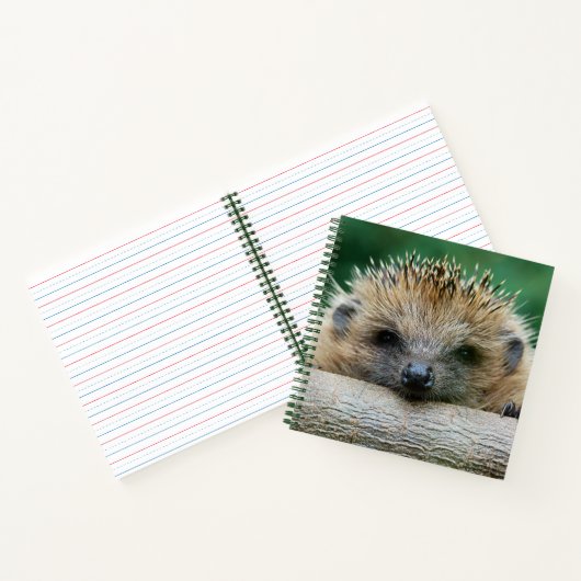 Niedliche Kleintiere | Igel Lächeln Notizblock (Innenseite)